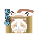 おとぼけラグドール（個別スタンプ：10）