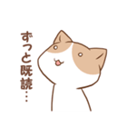 猫とうさぎの既読攻めスタンプ（個別スタンプ：6）