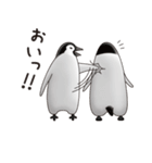 ペンギンづくし。（個別スタンプ：7）