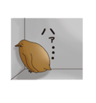 ペンギンづくし。（個別スタンプ：11）