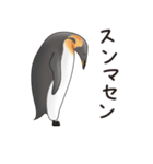 ペンギンづくし。（個別スタンプ：15）