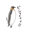 ペンギンづくし。（個別スタンプ：16）