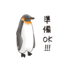 ペンギンづくし。（個別スタンプ：17）