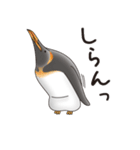 ペンギンづくし。（個別スタンプ：20）