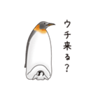 ペンギンづくし。（個別スタンプ：22）