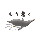 ペンギンづくし。（個別スタンプ：28）