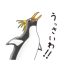 ペンギンづくし。（個別スタンプ：37）