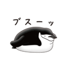 ペンギンづくし。（個別スタンプ：39）