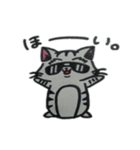 憧れcat（個別スタンプ：11）