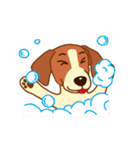 cute beagle dogs（個別スタンプ：5）