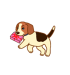 cute beagle dogs（個別スタンプ：10）