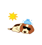 cute beagle dogs（個別スタンプ：38）