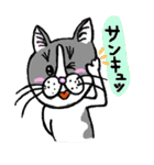 オトメン猫のゴマさん（個別スタンプ：2）