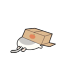 のほほん猫日和（個別スタンプ：31）