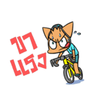 Cycling Cat by ROGER I.S.（個別スタンプ：12）