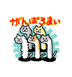 名古屋のちんあなごねこ（個別スタンプ：15）