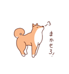 柴犬セット（個別スタンプ：25）