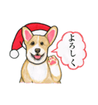 コーギーのメリークリスマス（個別スタンプ：12）