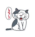 ぶさねこ♥じょにー（個別スタンプ：25）