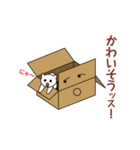 箱だけ君（個別スタンプ：21）