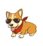 Cute Corgi - Adorable Life（個別スタンプ：1）