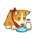 Cute Corgi - Adorable Life（個別スタンプ：11）