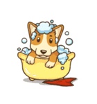 Cute Corgi - Adorable Life（個別スタンプ：14）