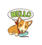 Cute Corgi - Adorable Life（個別スタンプ：17）