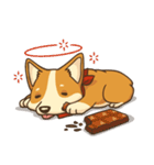 Cute Corgi - Adorable Life（個別スタンプ：19）