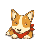 Cute Corgi - Adorable Life（個別スタンプ：25）