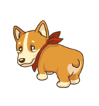 Cute Corgi - Adorable Life（個別スタンプ：36）