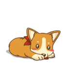 Cute Corgi - Adorable Life（個別スタンプ：37）