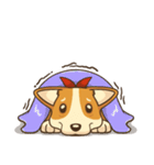 Cute Corgi - Adorable Life（個別スタンプ：40）