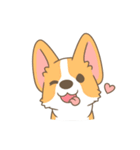 Corgi a collection（個別スタンプ：4）