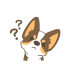 Corgi a collection（個別スタンプ：5）