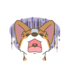 Corgi a collection（個別スタンプ：6）