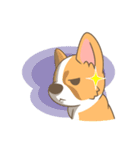 Corgi a collection（個別スタンプ：9）