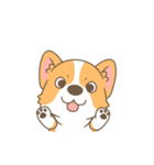 Corgi a collection（個別スタンプ：11）