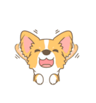 Corgi a collection（個別スタンプ：12）