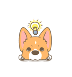 Corgi a collection（個別スタンプ：16）