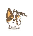 Corgi a collection（個別スタンプ：25）