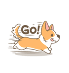 Corgi a collection（個別スタンプ：26）