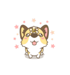 Corgi a collection（個別スタンプ：27）