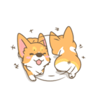 Corgi a collection（個別スタンプ：30）