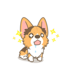 Corgi a collection（個別スタンプ：31）