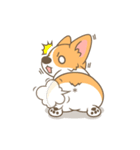 Corgi a collection（個別スタンプ：37）