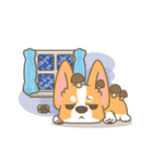 Corgi a collection（個別スタンプ：39）