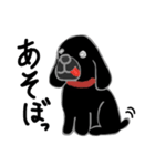 愛犬コロ（個別スタンプ：8）