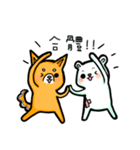 bandage bear＆shiba inu（個別スタンプ：2）