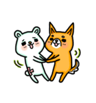 bandage bear＆shiba inu（個別スタンプ：37）